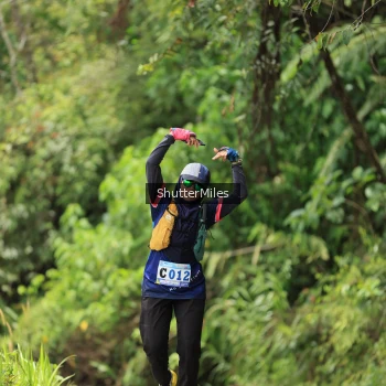 Runner Photo 1242126