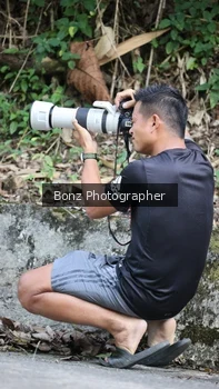 Runner Photo 1248922