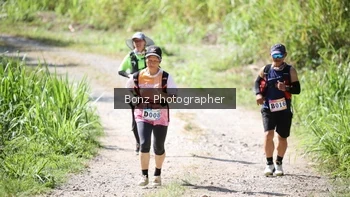 Runner Photo 1249996