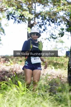 Runner Photo 12530