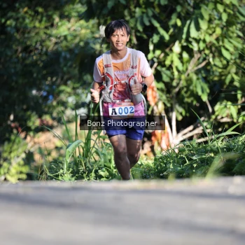 Runner Photo 1253274
