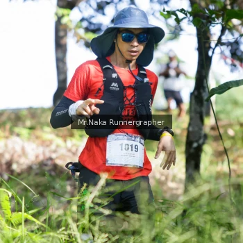 Runner Photo 12541