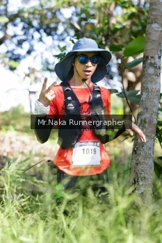 Runner Photo 12543