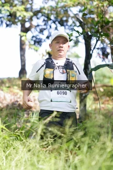 Runner Photo 12547