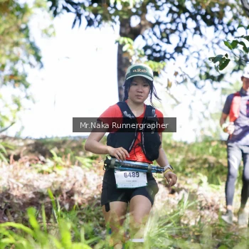 Runner Photo 12559