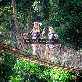 Runner Photo 1256750