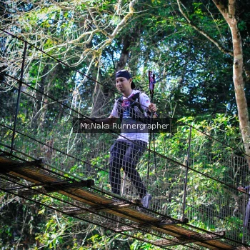 Runner Photo 1256791