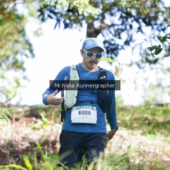 Runner Photo 12585