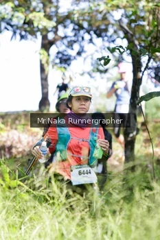 Runner Photo 12589