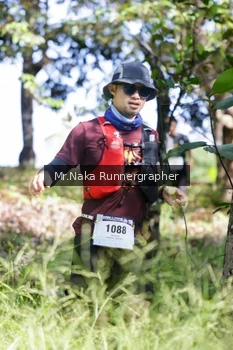 Runner Photo 12615