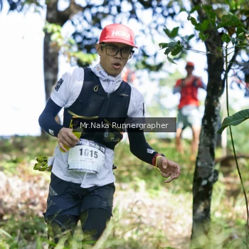 Runner Photo 12623