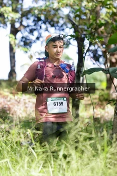 Runner Photo 12674