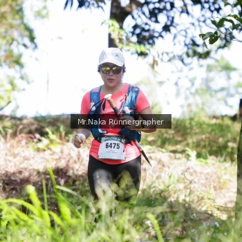 Runner Photo 12678