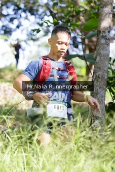Runner Photo 12693