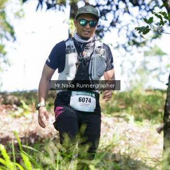 Runner Photo 12705