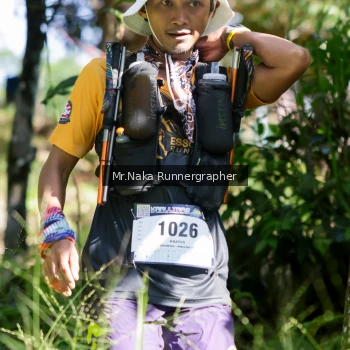Runner Photo 12722