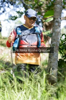 Runner Photo 12748