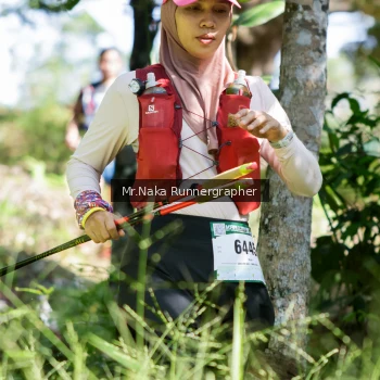 Runner Photo 12753