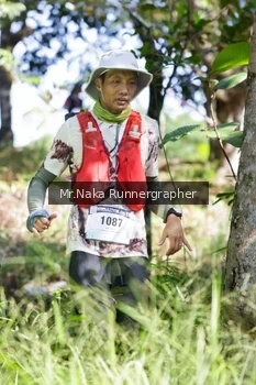 Runner Photo 12761