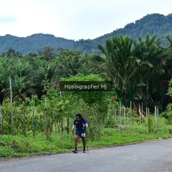 Runner Photo 1280782