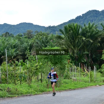 Runner Photo 1282748