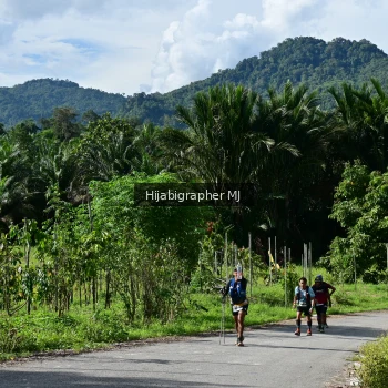 Runner Photo 1286901