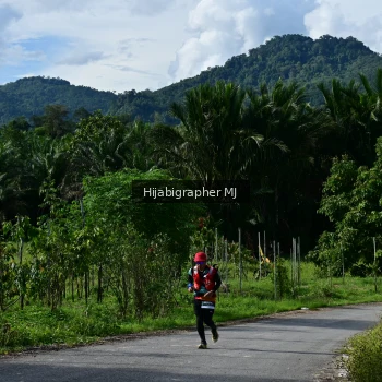 Runner Photo 1287195