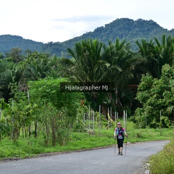 Runner Photo 1287979