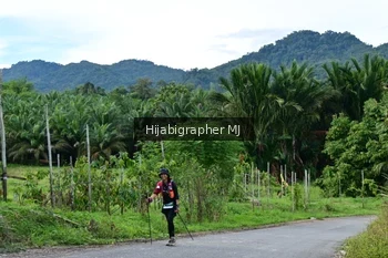 Runner Photo 1288081