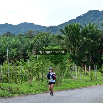 Runner Photo 1288142