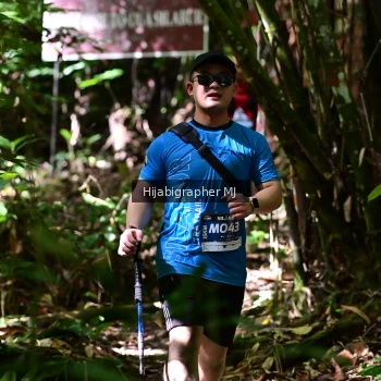 Runner Photo 1291197