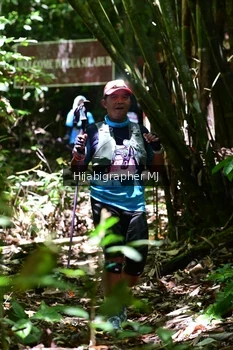 Runner Photo 1291592