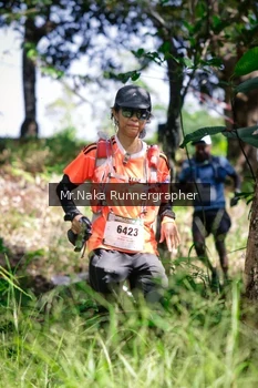 Runner Photo 13276
