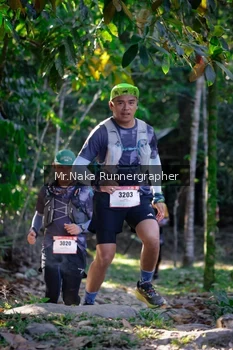 Runner Photo 13363