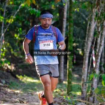 Runner Photo 13392