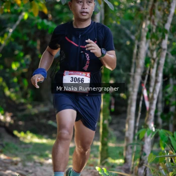 Runner Photo 13397