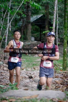 Runner Photo 13401