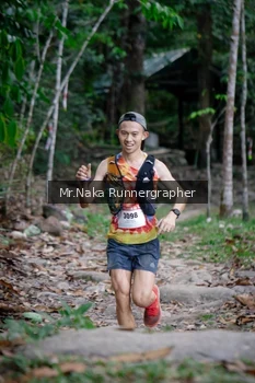 Runner Photo 13409