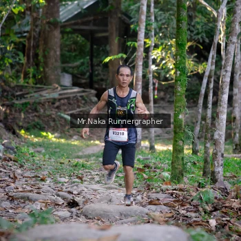 Runner Photo 13426