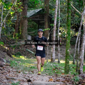 Runner Photo 13434