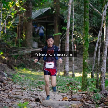 Runner Photo 13446