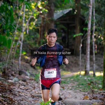 Runner Photo 13447