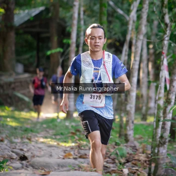 Runner Photo 13453