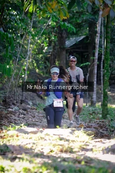 Runner Photo 13481