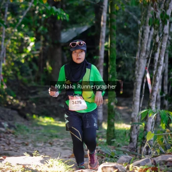 Runner Photo 13500