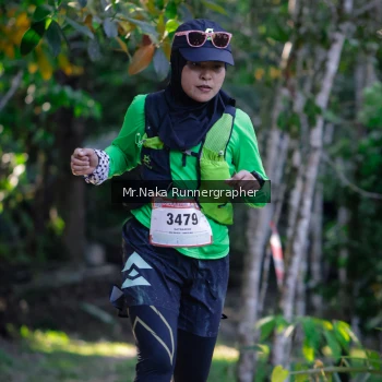 Runner Photo 13502