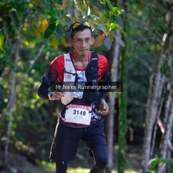 Runner Photo 13504