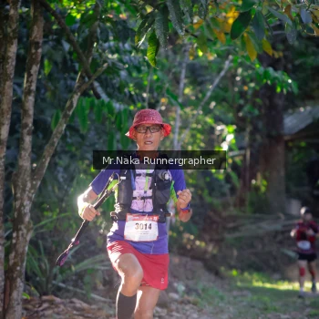 Runner Photo 13515