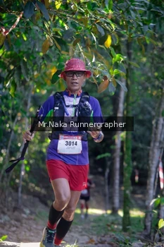 Runner Photo 13517
