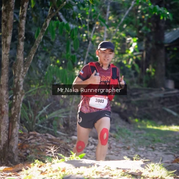Runner Photo 13518